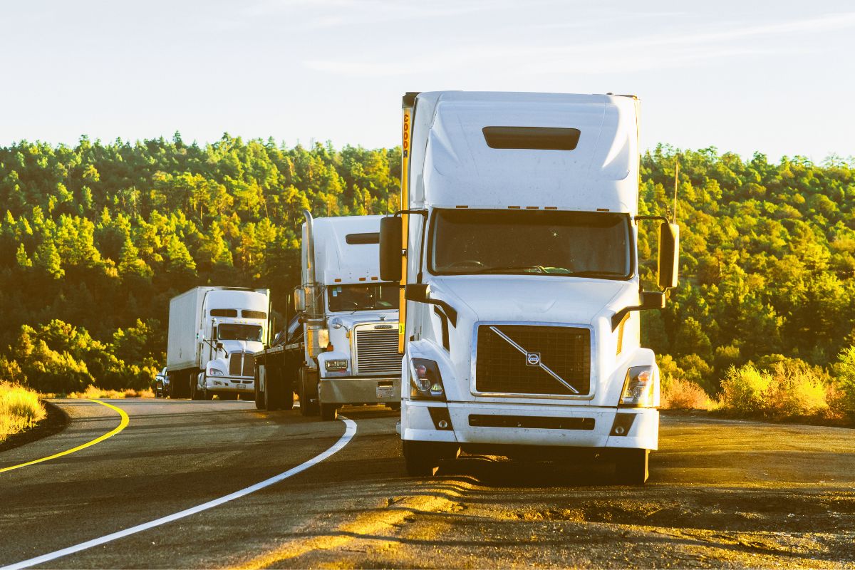 Beginner’s Guide to Ohio to California Auto Transport What You Need to Know