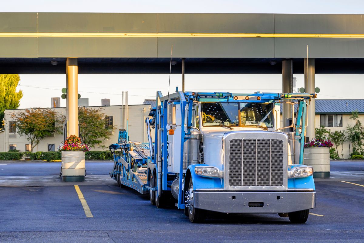 Beginner’s Guide to Ship Car from Ohio to Florida Everything You Need to Know About Auto Transport