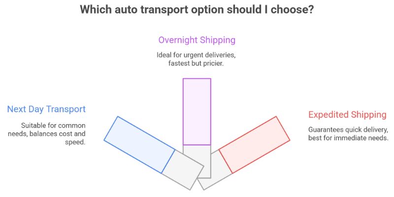 Step 2 – Understand the Types of Auto Transport Options Understand the Types of Auto Transport Options